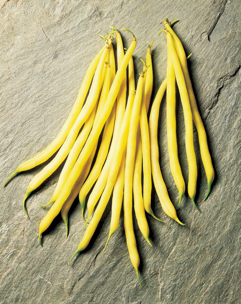 FRUIDOR