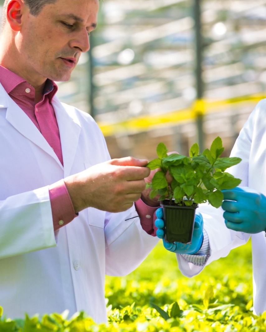 3-Advanced-agriculture-Innovation-and-RD