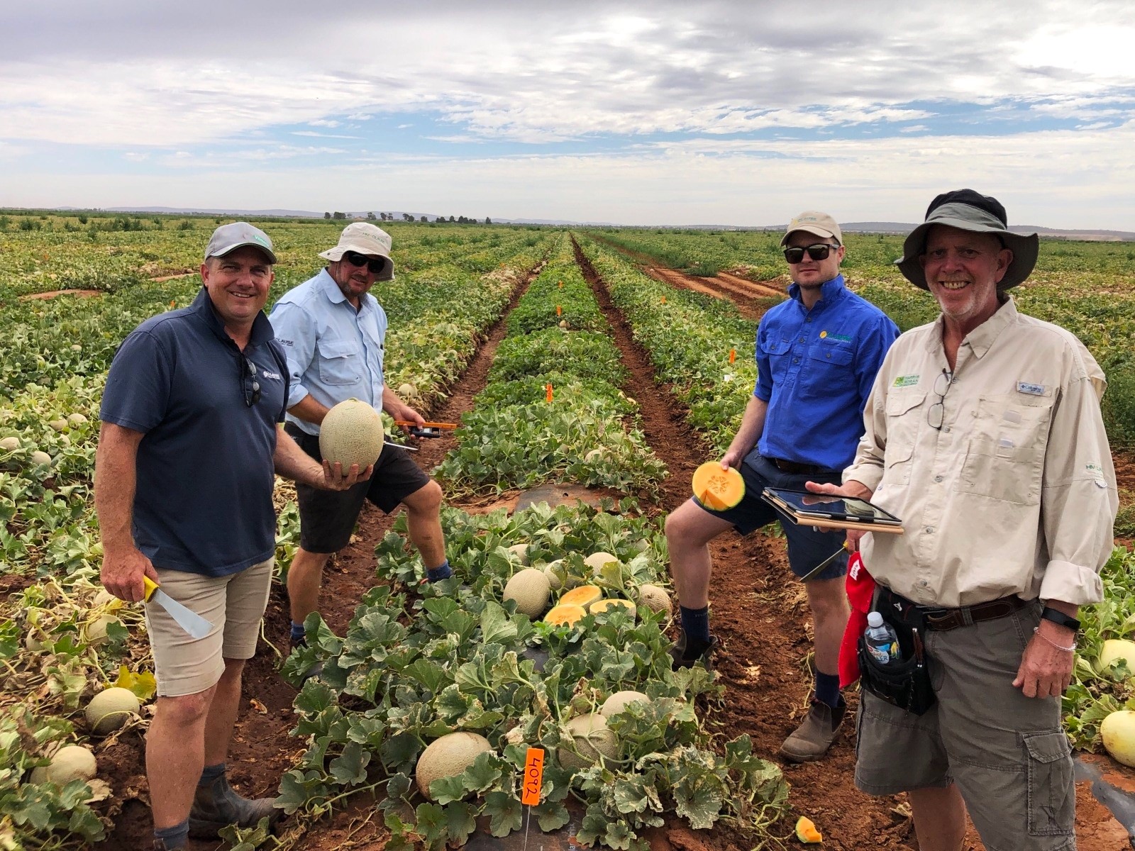 6-Ready-to-roll-up-our-sleeves-growers-2
