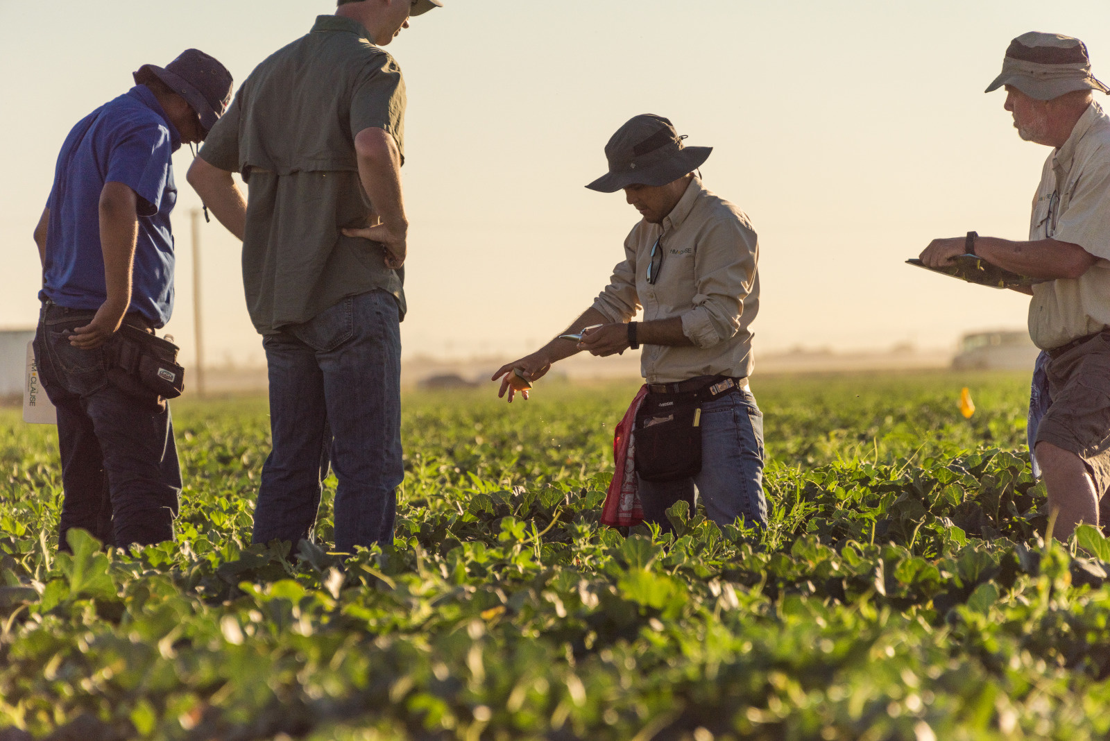 6-Ready-to-roll-up-our-sleeves-growers